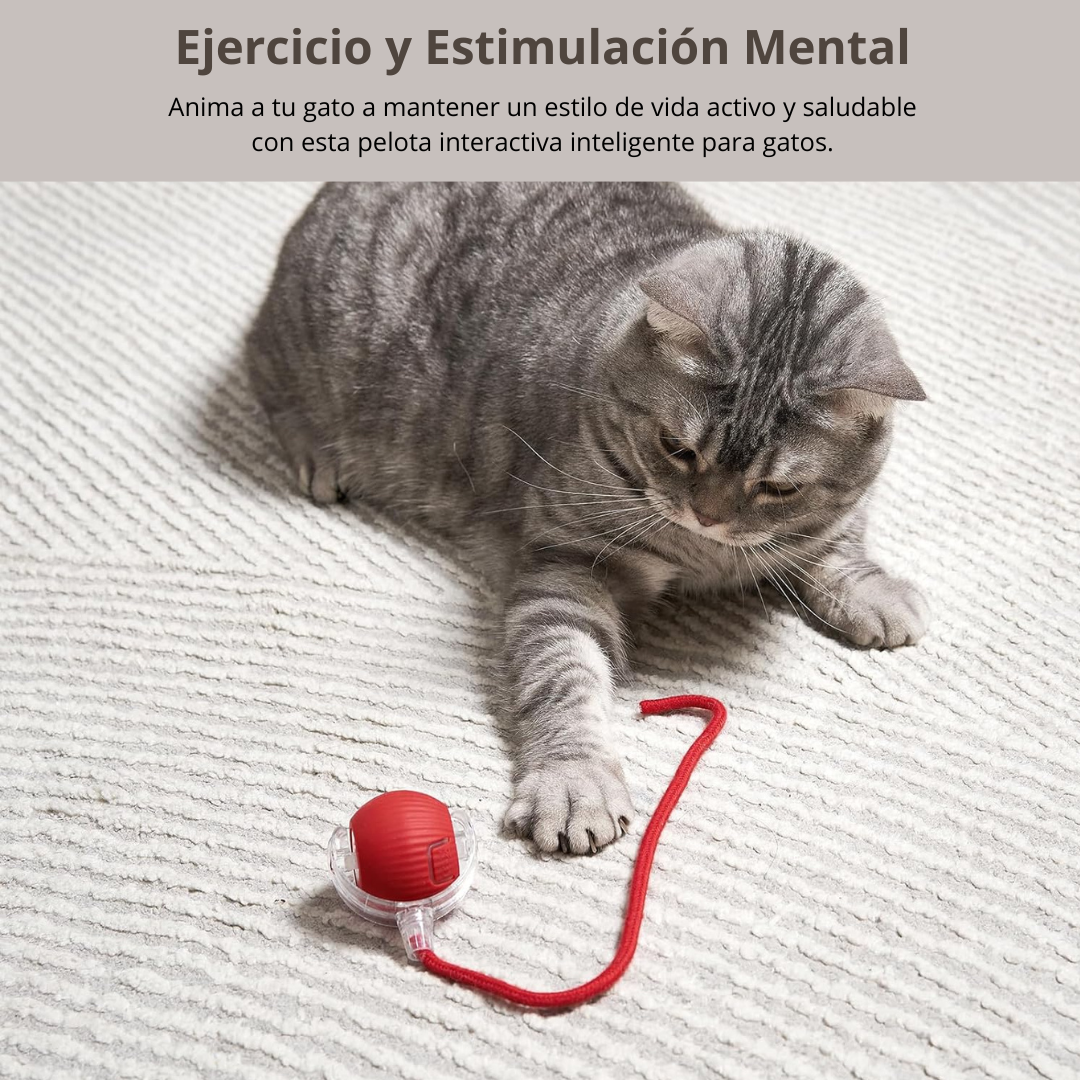 PELOTA INTELIGENTE