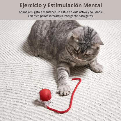 PELOTA INTELIGENTE